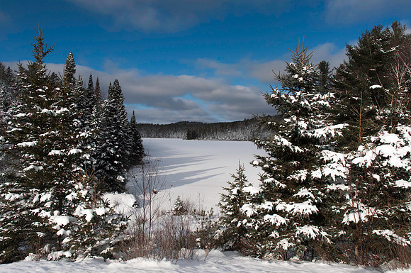 Algonquin Park