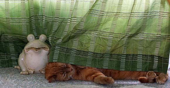 Dennis on the Heat Vent