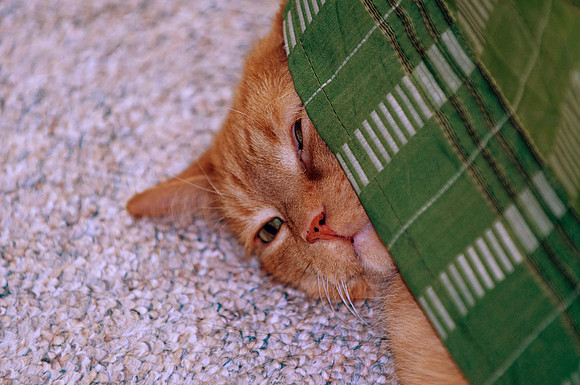 Dennis on the Heat Vent