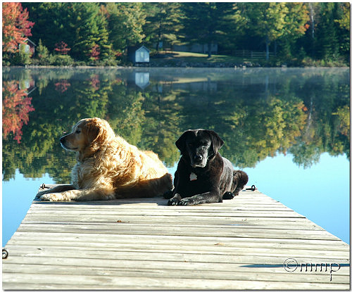 Sqieak and Midge