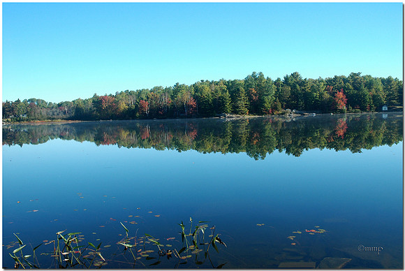 Fall at Davis Lake